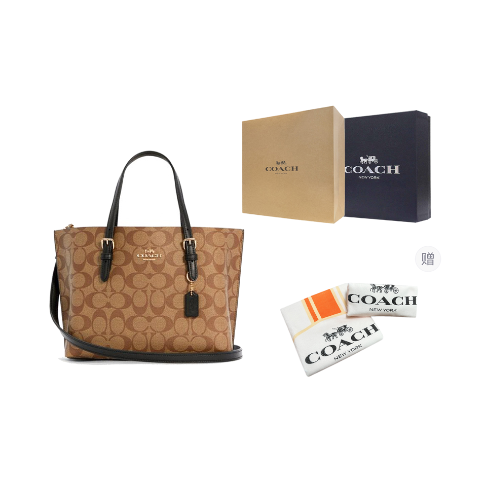 COACH Mollie Coated Canvas Wit - đánh giá và giá Luxury Bags Coach