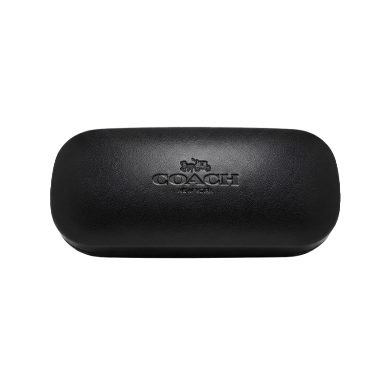 COACH Black Hard Glasses Case  - đánh giá và giá Luxury Bags Coach